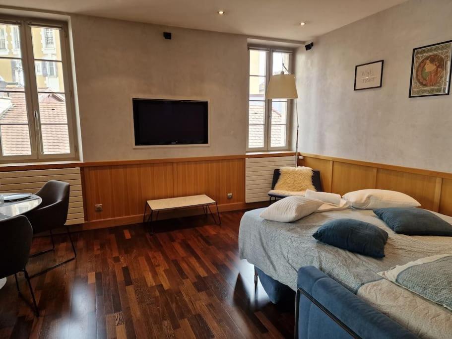 Appartement Annecy Centre Historique Parking Inclus Kültér fotó